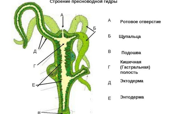 Кракен современный маркетплейс