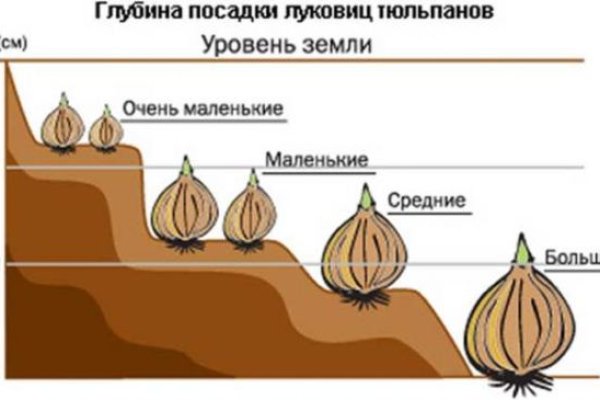 Что такое кракен в интернете